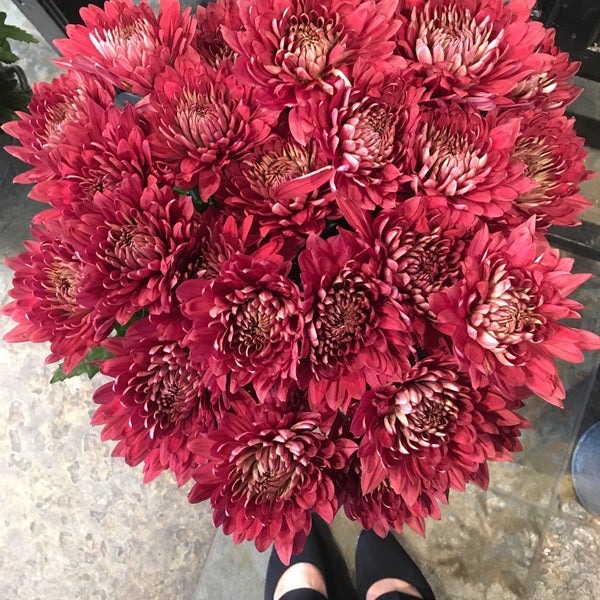 Flora Chicago Lakeview 2 tips from 72 visitors