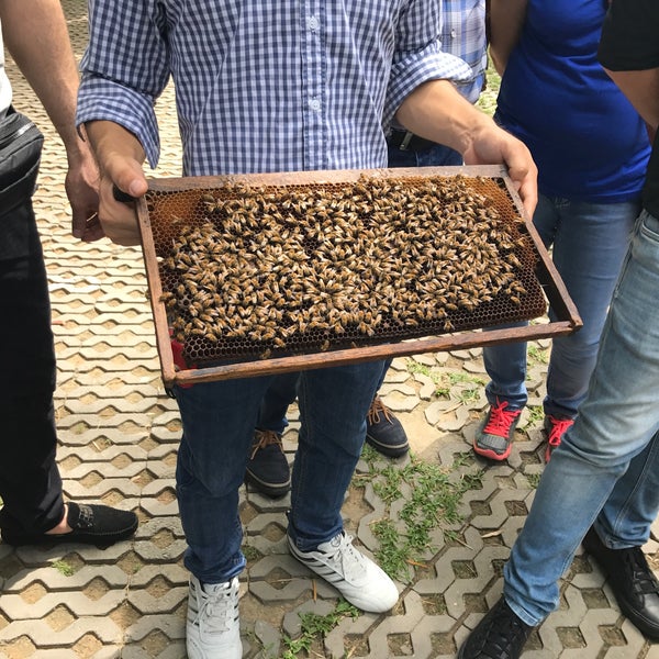 3/21/2017にSHABNAMがBig Bee Farm (Pattaya)で撮った写真