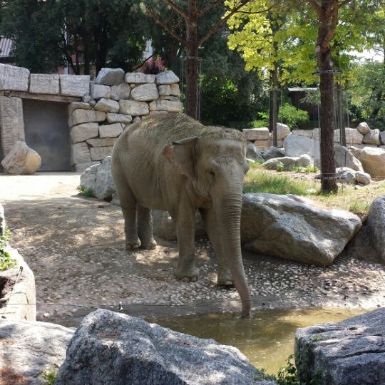 Uno zoo più che un Parco naturalistico, ma molto bello; soprattutto per i più piccoli!