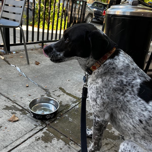 Corkscrew Tavern The Heights Jersey City, NJ