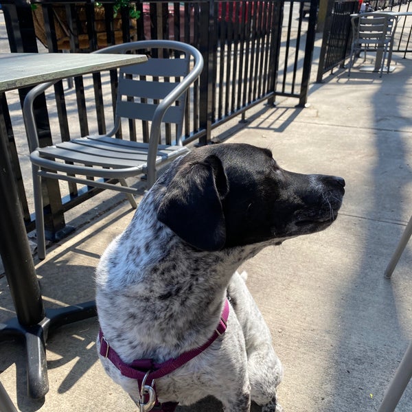 Corkscrew Tavern The Heights Jersey City, NJ