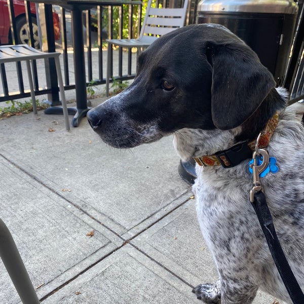 Corkscrew Tavern The Heights Jersey City, NJ