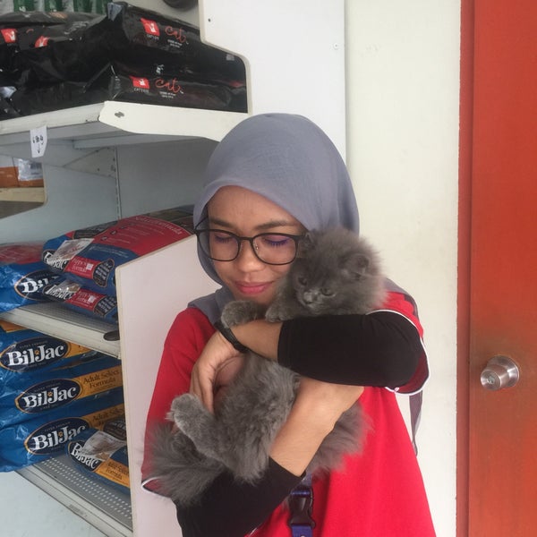 Neutering Aid For 1 Dog In Sitiawan Than Foonga S Animalcare Petfinder My Wagazine