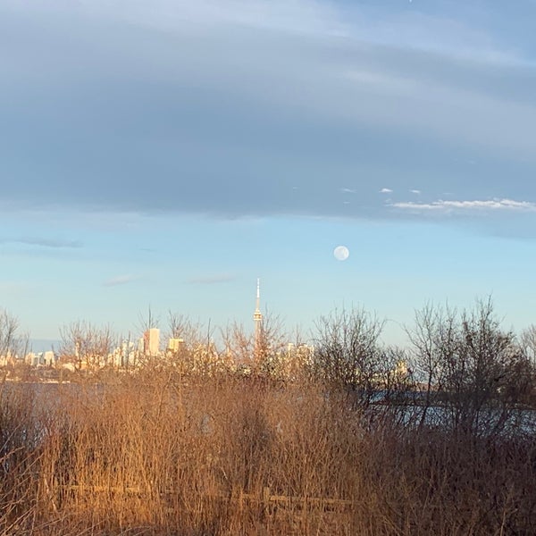 Humber Bay Butterfly Habitat Other Great Outdoors in Toronto