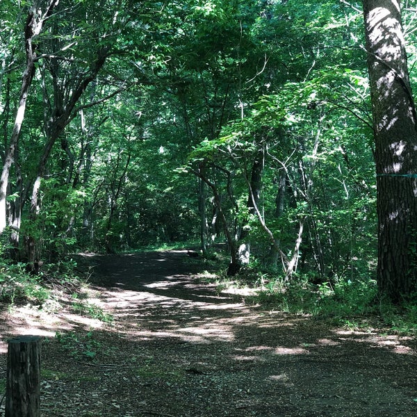 公園 都立