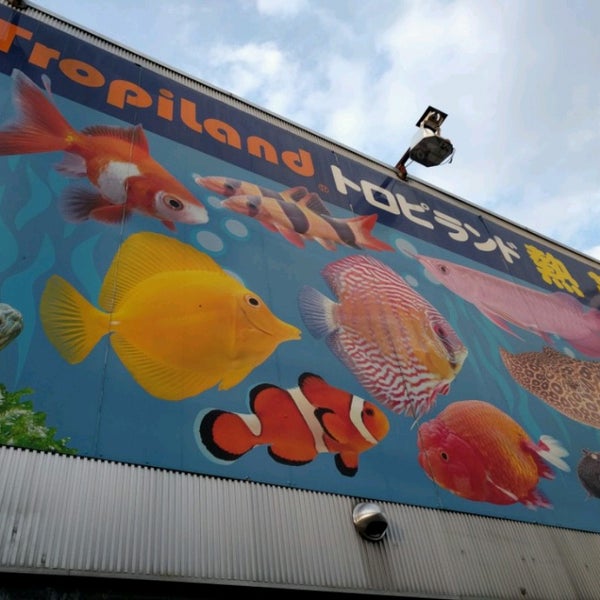 Fotos En トロピランド 小平店 Ahora Cerrado 3 Tips Fotos En トロピランド 小平店 Ahora Cerrado 3 Tips