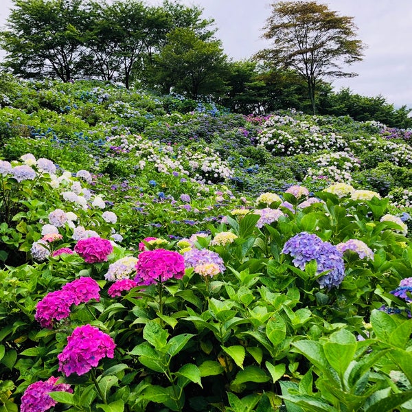 うつぶな公園 Park うつぶな公園 Park
