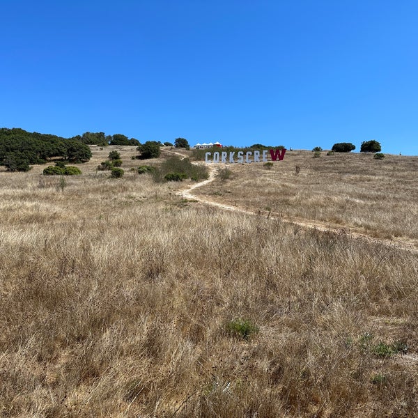 The Famous Corkscrew Race Track in Salinas