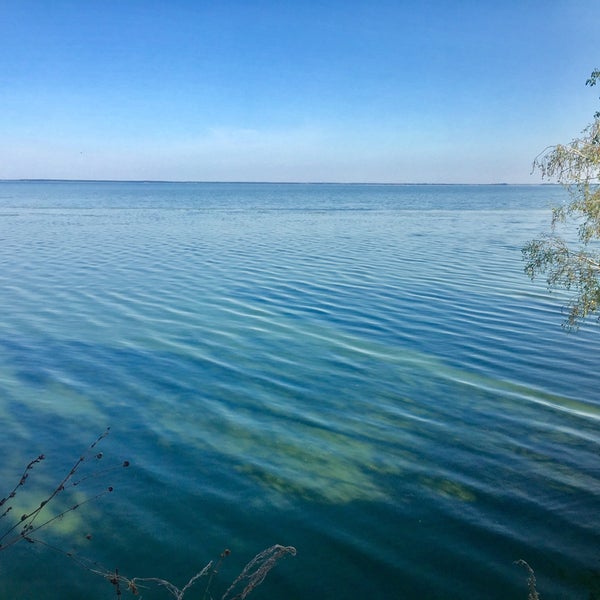 Вода в черемшане. Вода в черемшане