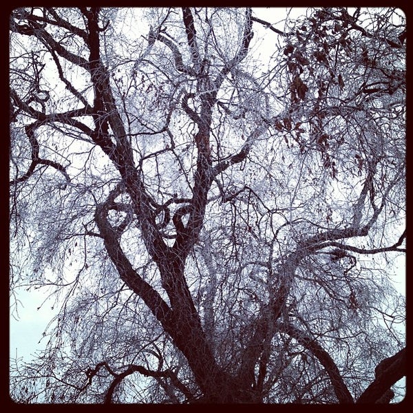 Tyler House Smith College Northampton, MA