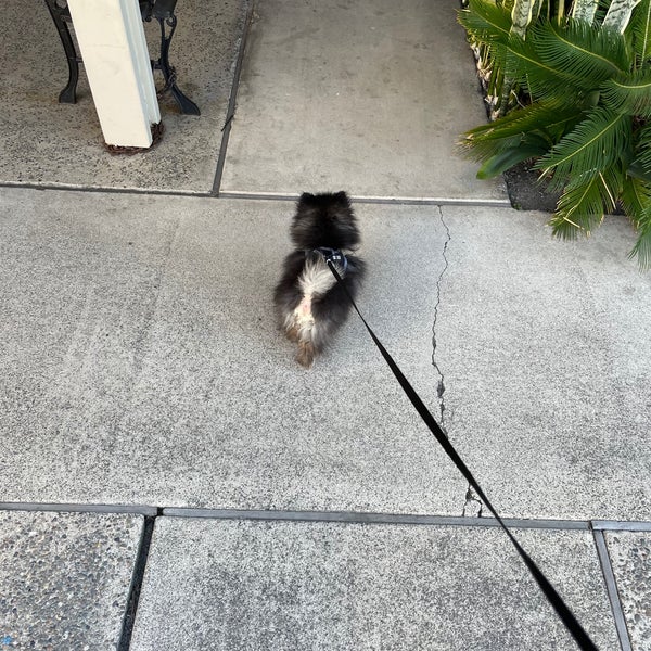 Brookhaven Pet Hospital Pet Supplies Store