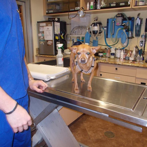 Photo taken at Sun-Surf Veterinary Hospital by Sun-Surf Veterinary Hospital on 1/28/2016