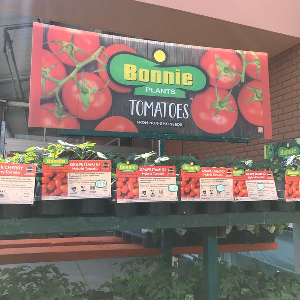 The Home Depot Independence, MO