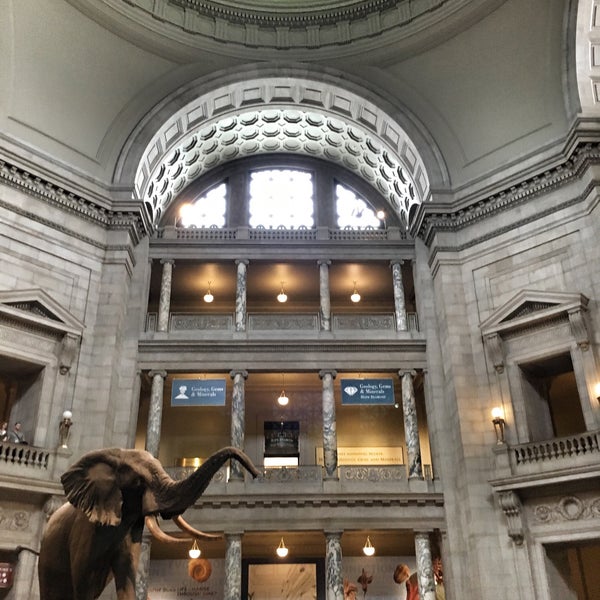 Kenneth E. Behring Family Rotunda - Smithsonian's National Museum of ...