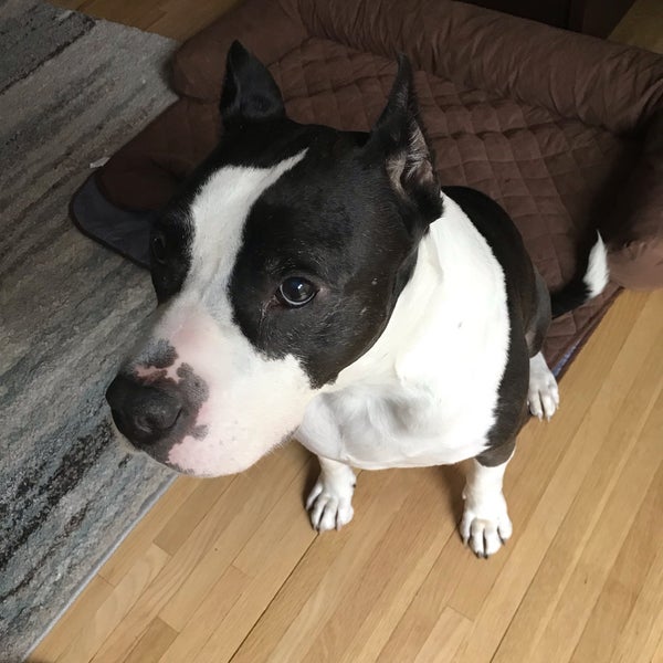 Grandville Arms Condo Complex Hamilton, NJ