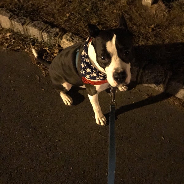 Grandville Arms Condo Complex Hamilton, NJ