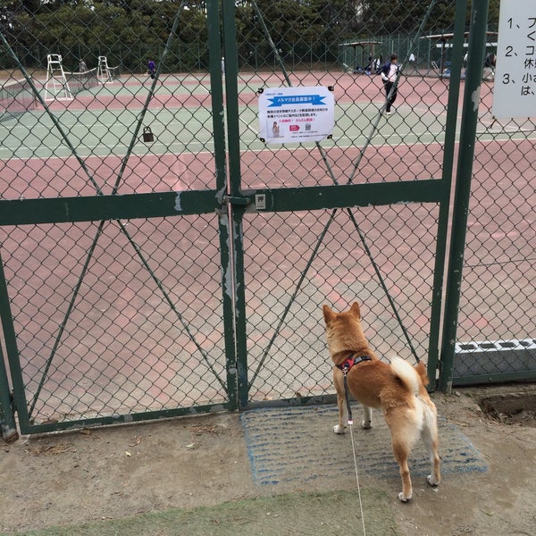 稲毛海浜公園テニスコート 47 Visitors 稲毛海浜公園テニスコート 47 Visitors