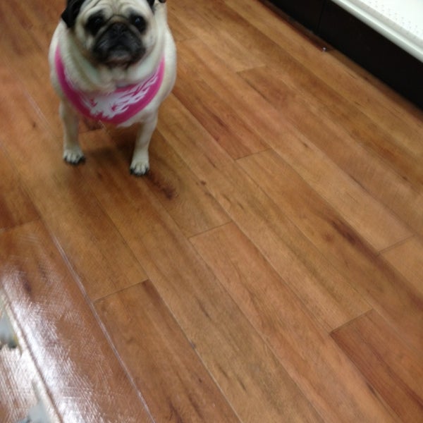 Pet Supermarket Spring Hill Fl