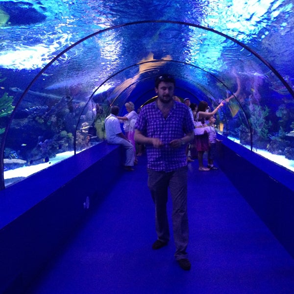 Foto tirada no(a) Antalya Aquarium por Mrt em 5/4/2013
