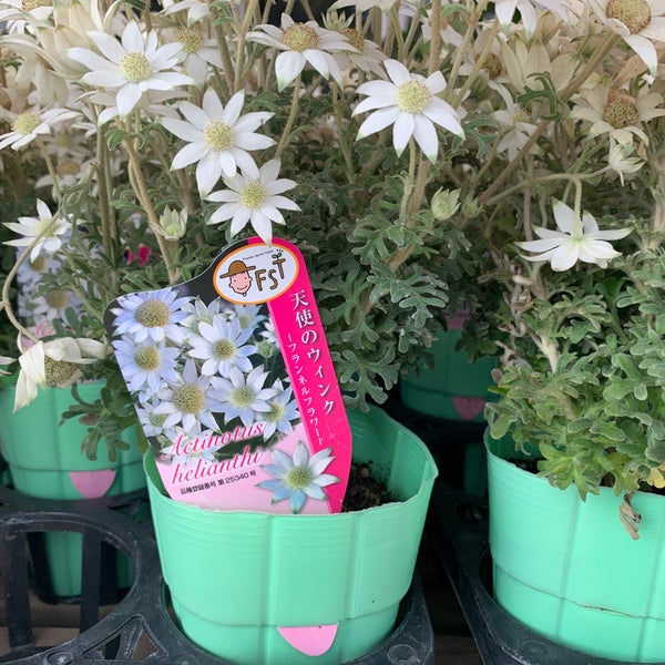 グッデイ 姪浜店 福岡市 福岡県