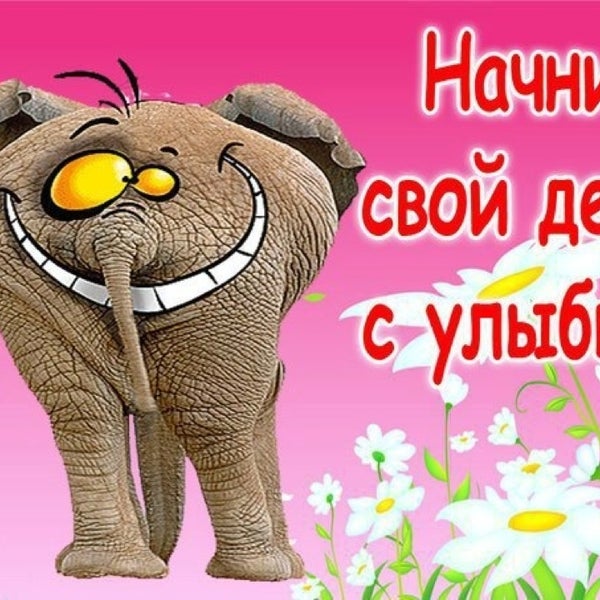 Эй как хороший день. Эй как хороший день. Эй как хороший день. Хорошего дня прикольные. Эй как хороший день.