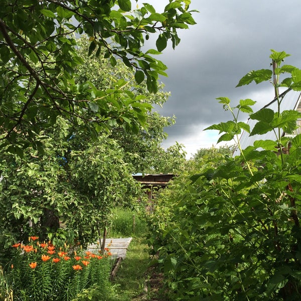 Купить Дачу В Тарасихе Нижегородской Области