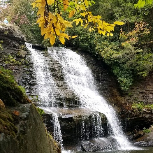 Are Dogs Allowed At Swallow Falls