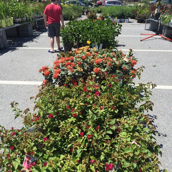 The Home Depot Hırdavat Mağazası