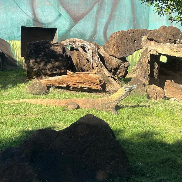12/14/2021 tarihinde Dániel F.ziyaretçi tarafından Honolulu Zoo'de çekilen fotoğraf
