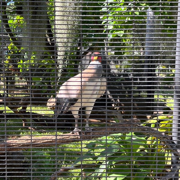Photo taken at Honolulu Zoo by Dániel F. on 12/14/2021
