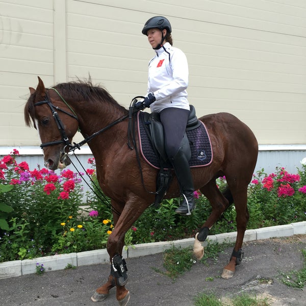 сборная по конному спорту омской области. спортивная школа по конному спорту. казанский ипподром казань патриса лумумбы.