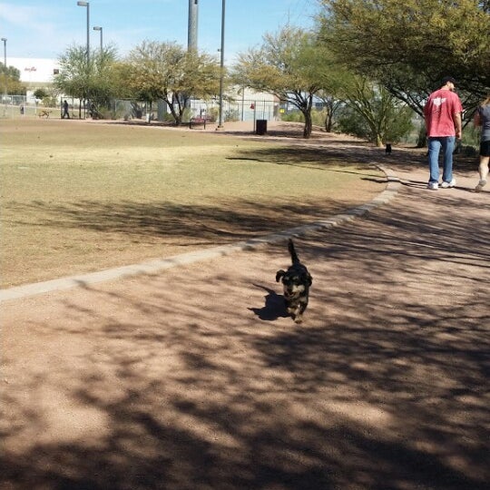 Photos at Tempe Sports Complex Dog Park 8401 S Hardy Dr.