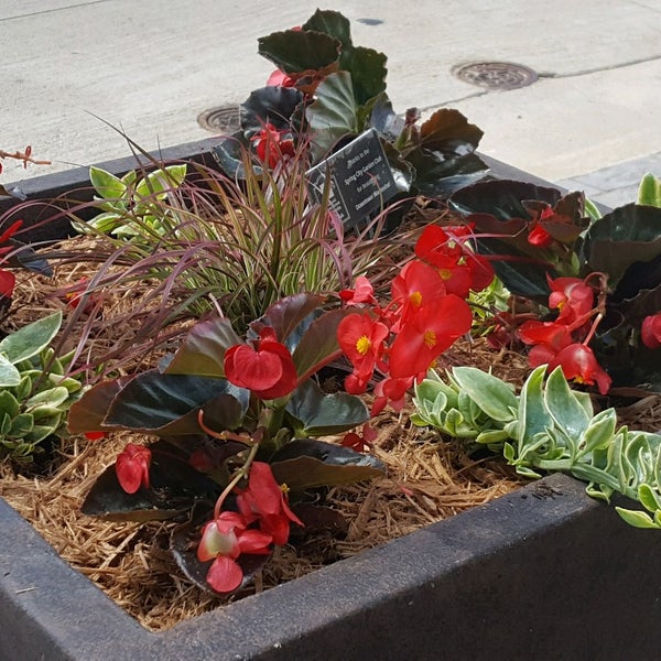 Photos at River's End Gallery Waukesha, WI