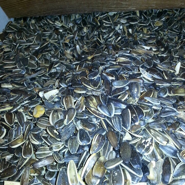 Fotos en Pet World Warehouse Outlet 2410 E Moreland Blvd