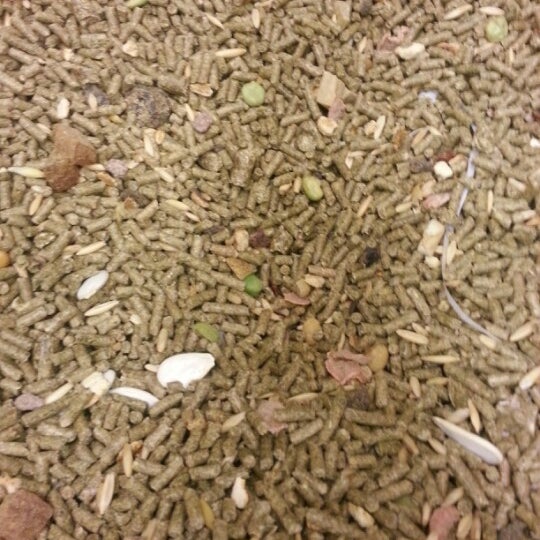 Fotos en Pet World Warehouse Outlet 2410 E Moreland Blvd