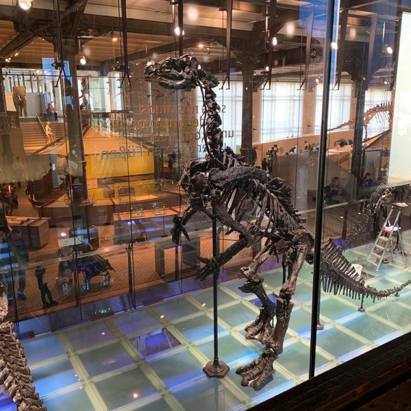 Photo taken at Museum of Natural Sciences by Elise D. on 3/5/2019