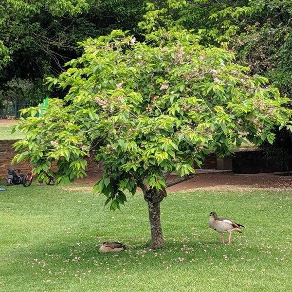 Johannesburg Botanical Gardens Randburg, IGauteng