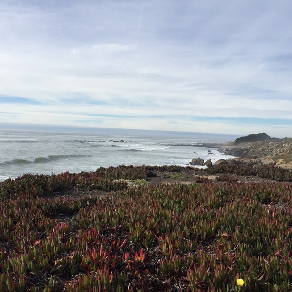Fotos bei Bean Hollow State Beach Strand in Pescadero