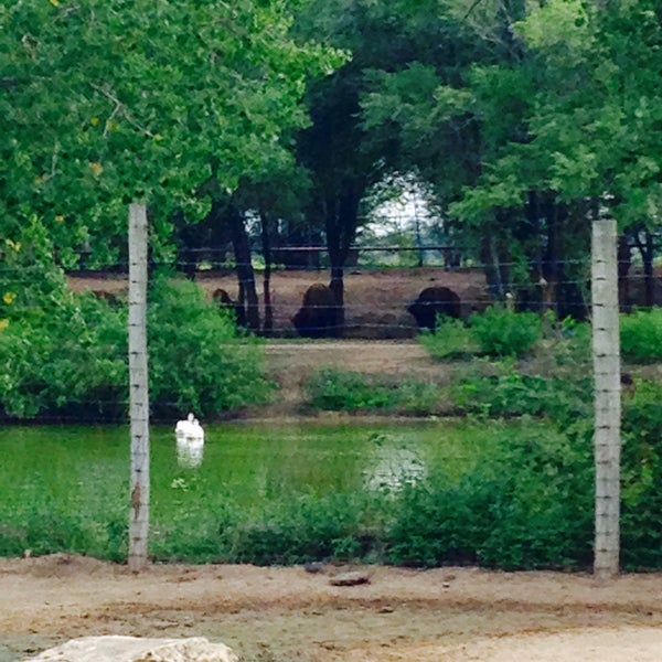 The Hutchinson Zoo Hutchinson, KS
