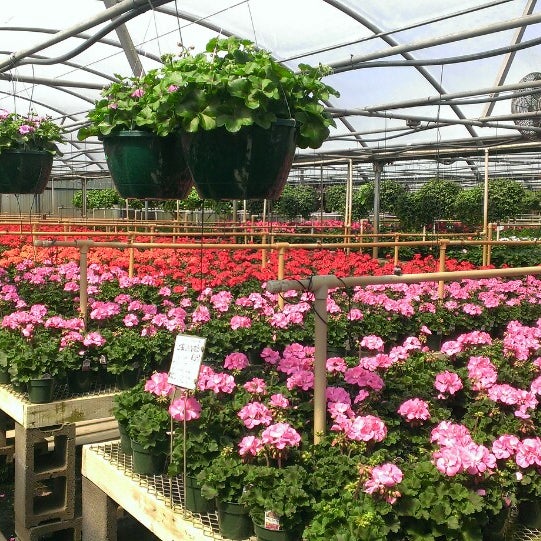 патио внутренний дворик в испании. интерьер цветочного магазина. Place plant. цветочный бутик интерьер. Place plant.