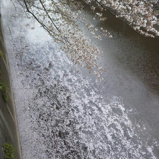 西宿裏橋 大和町 氷川町