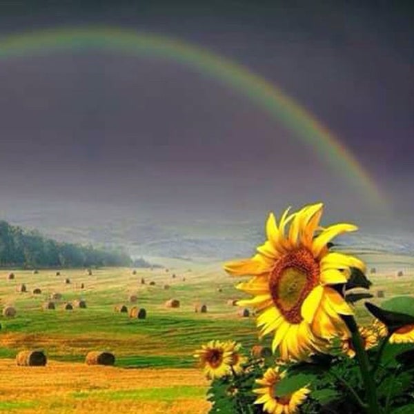 Доброе утро радуга картинки