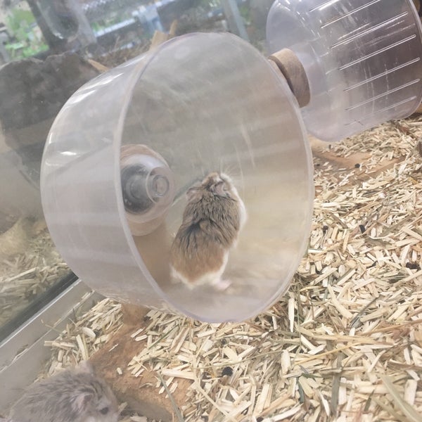 Photos At Aveve 3 Tips