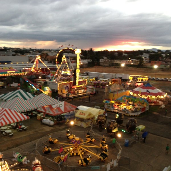 Игуана парк анапа