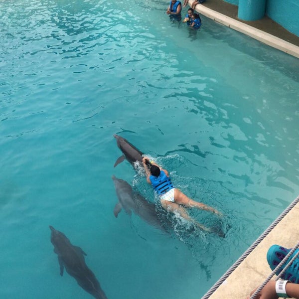 Photo taken at Aquarium Cancun by Ana L. on 8/9/2017