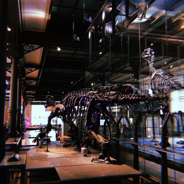 Photo taken at Museum of Natural Sciences by Liv on 4/23/2019