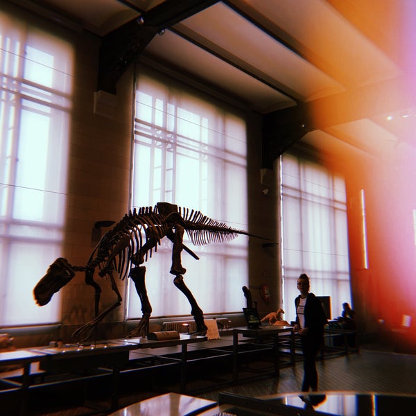 Foto diambil di Museum voor Natuurwetenschappen / Muséum des Sciences naturelles oleh Liv pada 4/23/2019