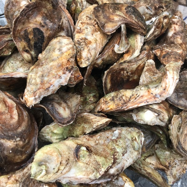 Photos at Providence Oyster Bar Federal Hill Providence, RI