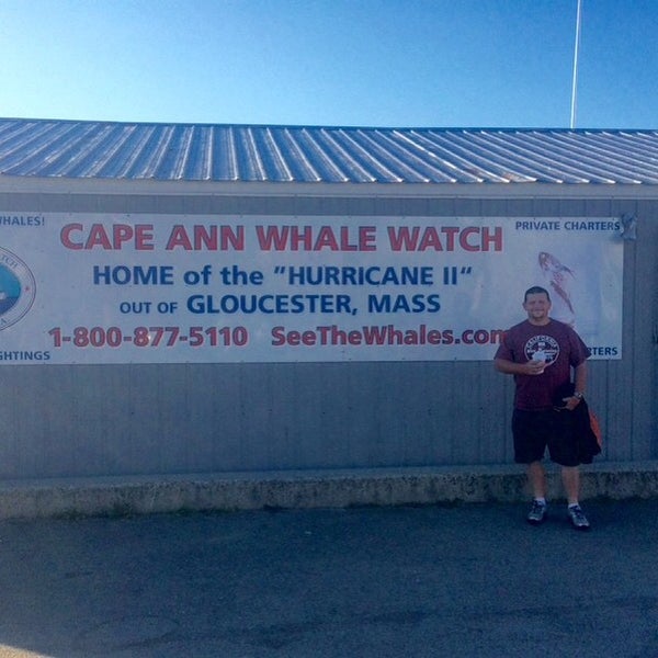 Foto scattata a Cape Ann Whale Watch da Kevin V. il 9/6/2015