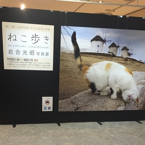 Photos At 大宮高島屋郵便局 さいたま市 埼玉県